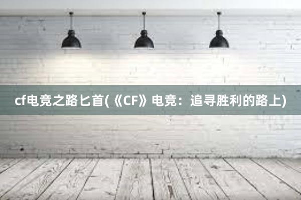 cf电竞之路匕首(《CF》电竞：追寻胜利的路上)