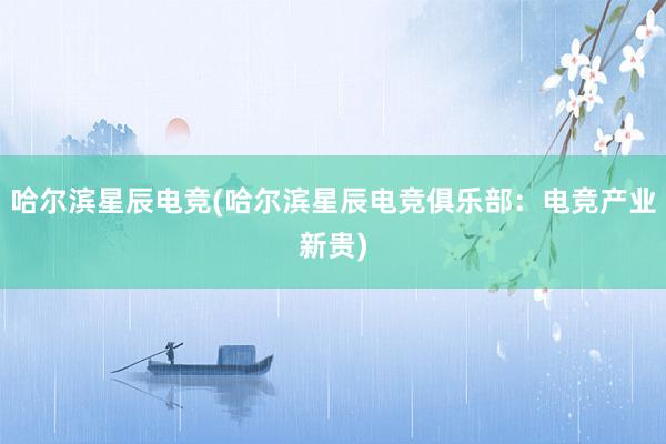 哈尔滨星辰电竞(哈尔滨星辰电竞俱乐部：电竞产业新贵)