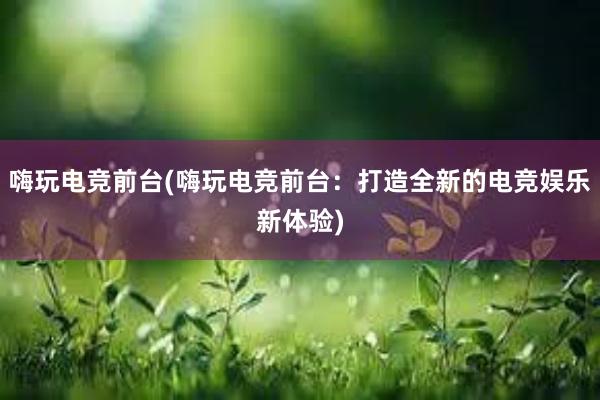 嗨玩电竞前台(嗨玩电竞前台：打造全新的电竞娱乐新体验)