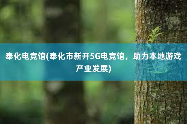 奉化电竞馆(奉化市新开5G电竞馆，助力本地游戏产业发展)