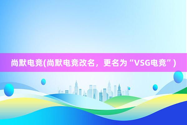 尚默电竞(尚默电竞改名，更名为“VSG电竞”)