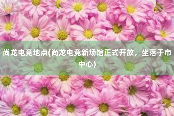 尚龙电竞地点(尚龙电竞新场馆正式开放，坐落于市中心)