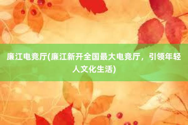 廉江电竞厅(廉江新开全国最大电竞厅，引领年轻人文化生活)