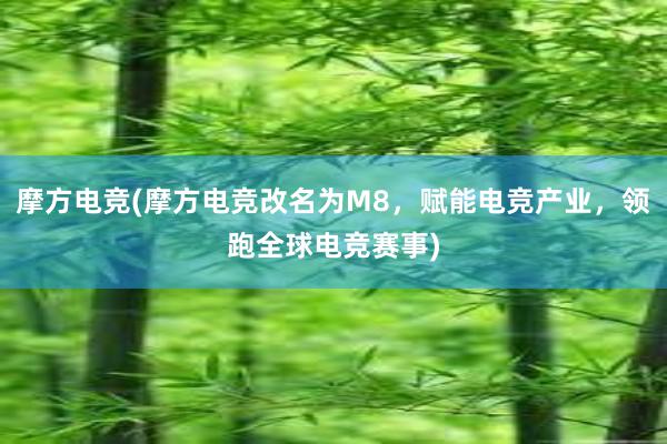 摩方电竞(摩方电竞改名为M8，赋能电竞产业，领跑全球电竞赛事)