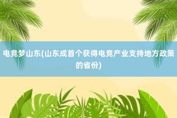 电竞梦山东(山东成首个获得电竞产业支持地方政策的省份)