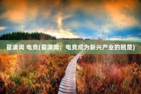 翟潇闻 电竞(翟潇闻：电竞成为新兴产业的翘楚)