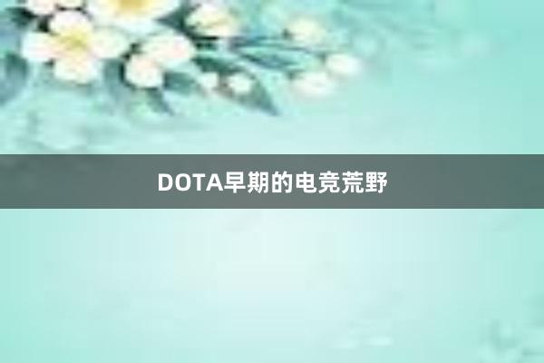 DOTA早期的电竞荒野