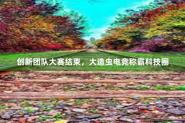 创新团队大赛结束，大造虫电竞称霸科技圈