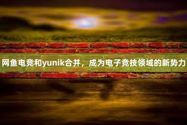 网鱼电竞和yunik合并，成为电子竞技领域的新势力