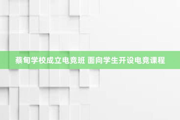 蔡甸学校成立电竞班 面向学生开设电竞课程