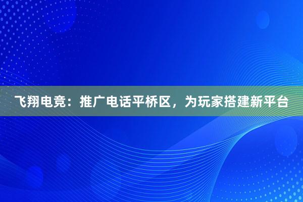 飞翔电竞：推广电话平桥区，为玩家搭建新平台